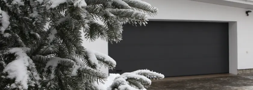 акция